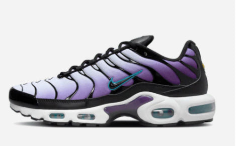 Nike Air Max Plus Tn Reverse Grape